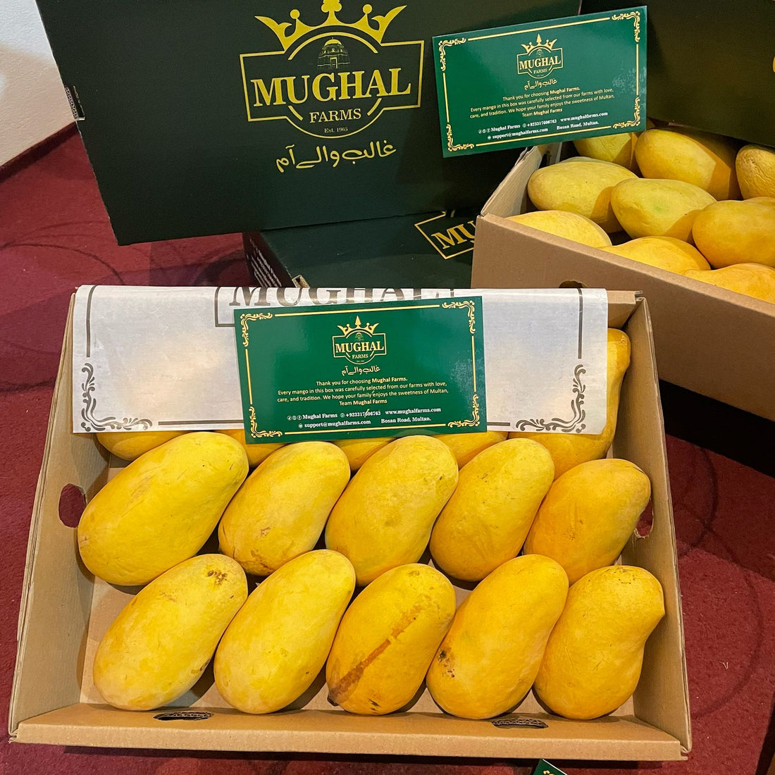 Mosmi Chaunsa Mango