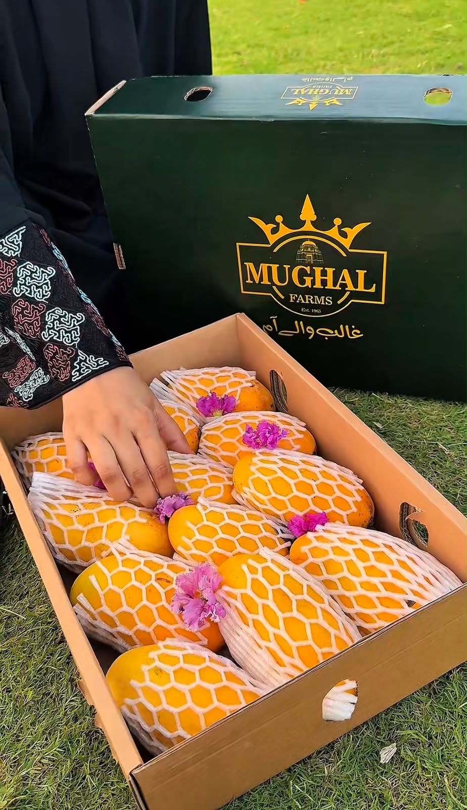 White Chaunsa Mango