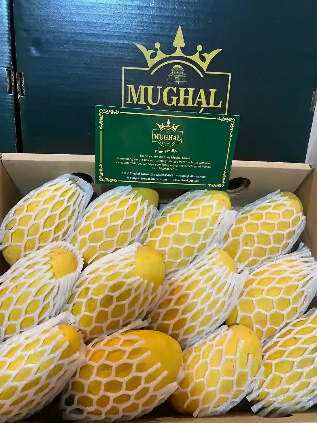 White Chaunsa Mango